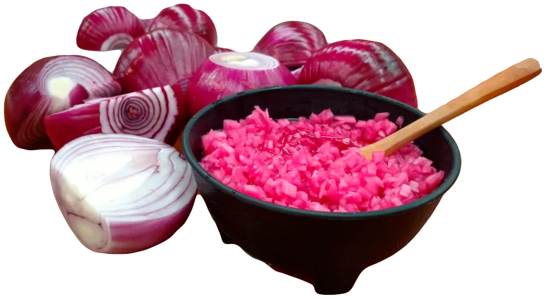 Preparación de cebolla morada en escabeche sobre loseta de barro